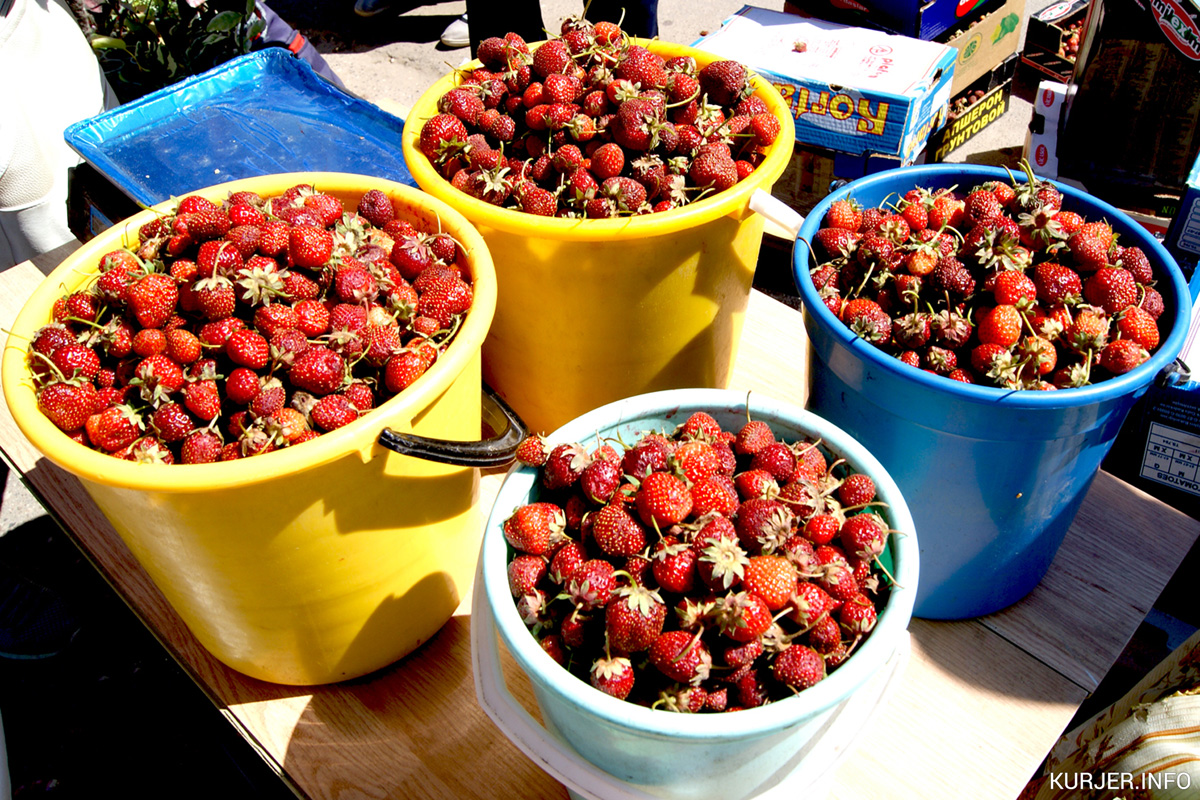Ташкенцы получили разрешение на торговлю клубникой