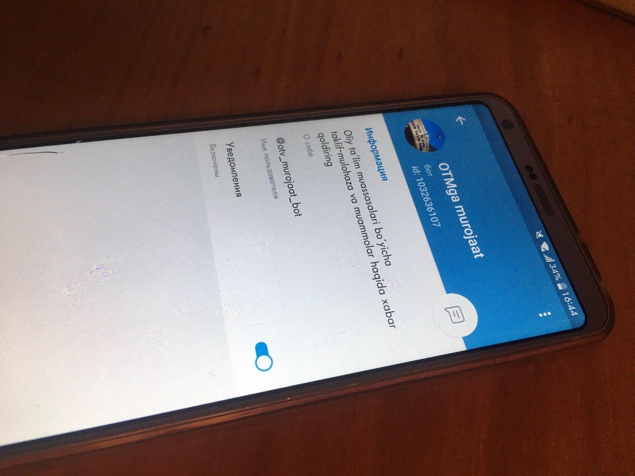 Минвуз запустил бота для студентов