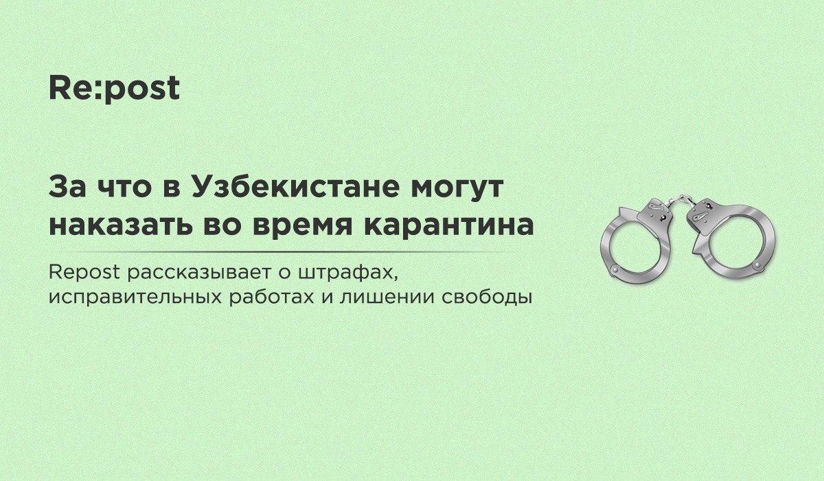 Гайд по штрафам: как не лишиться денег во время карантина