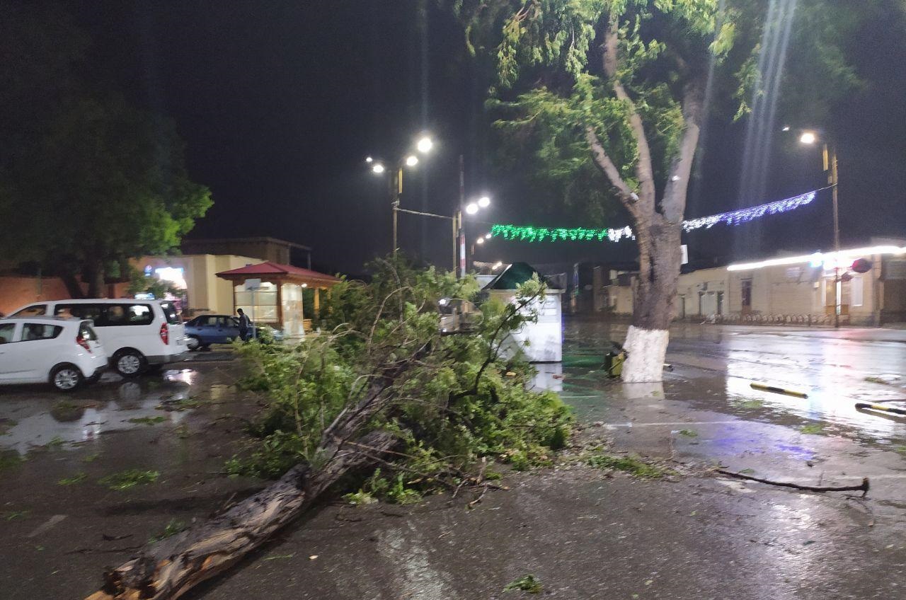Стали известны подробности сильного ветра в Бухаре – есть жертвы