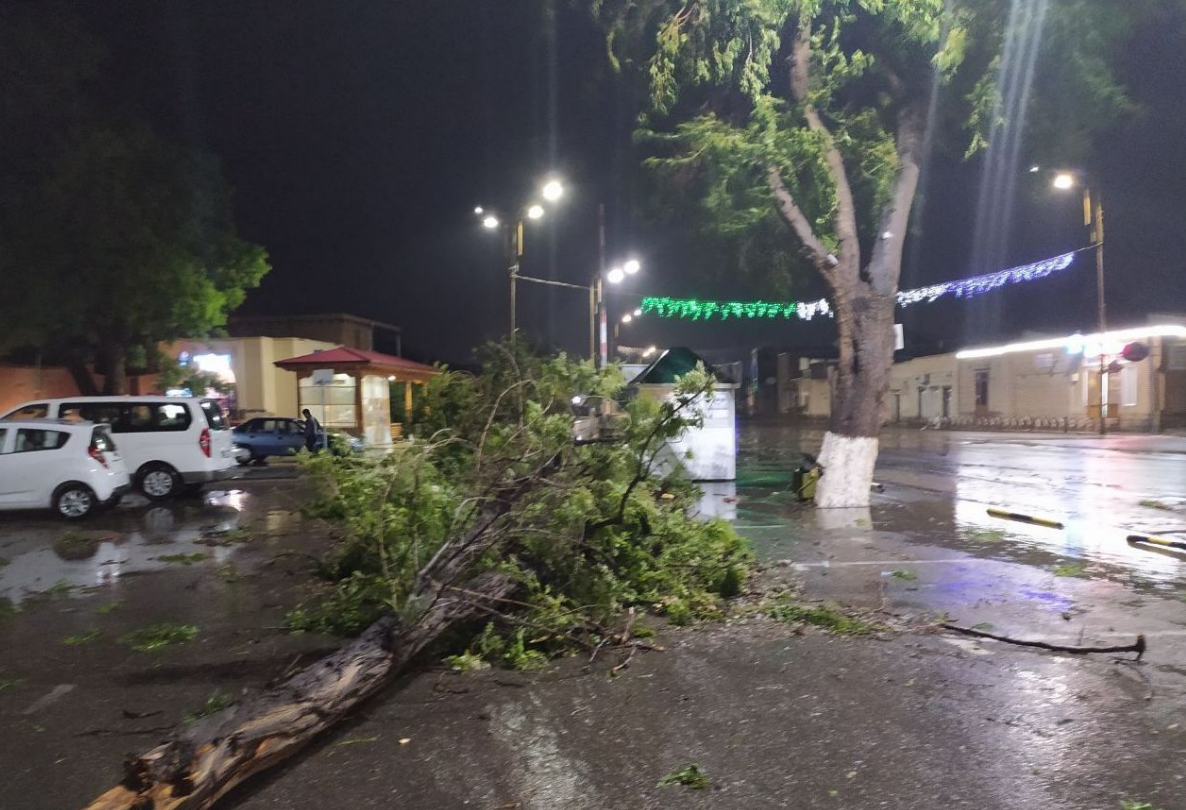 Узгидромет прокомментировал сильный ветер, обрушившийся на юго-западные районы Узбекистана