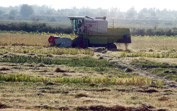 Населению на льготных условиях будут выделять земельные участки 