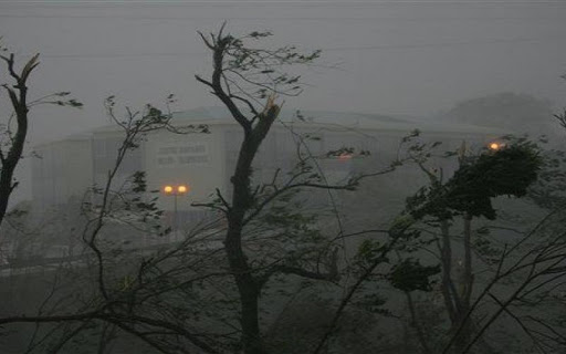 В Ташкенте ожидается сильный порывистый ветер