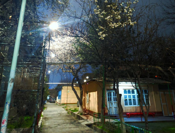 В Ташкенте жестоко убили и закопали парня ради денег