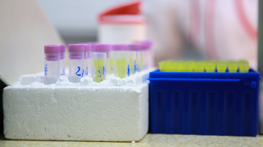 Казахстан начал испытывать вакцину против коронавируса