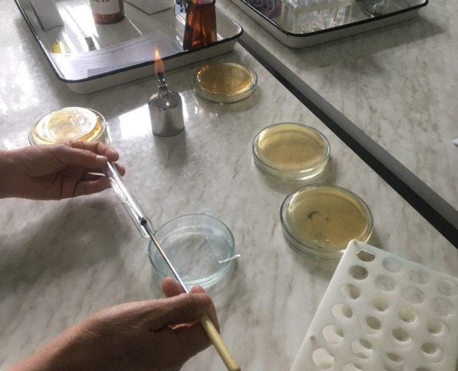 УзА рассказала об узбекском ученом, научившемся убивать коронавирус и вызывать дожди для спасения Арала 