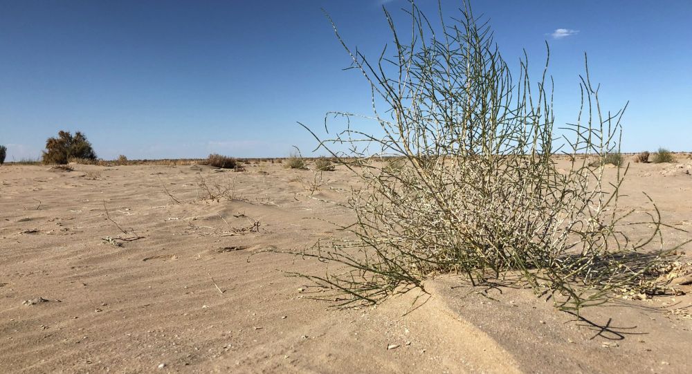 Финляндия внесет 1 миллион евро в Трастовый фонд ООН для Приаралья