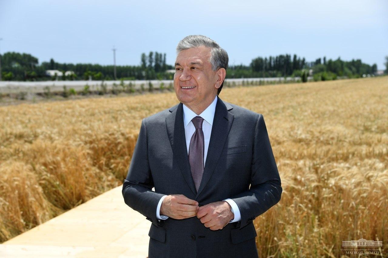 Президент порекомендовал засеять поля чесноком и бобовыми культурами