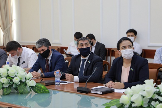 Депутаты захотели защиты законопроектов для их инициаторов