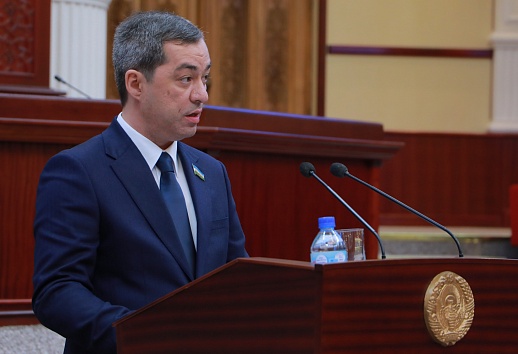 Депутат заявил, что некоторые действия правоохранителей будут фиксироваться на камеру