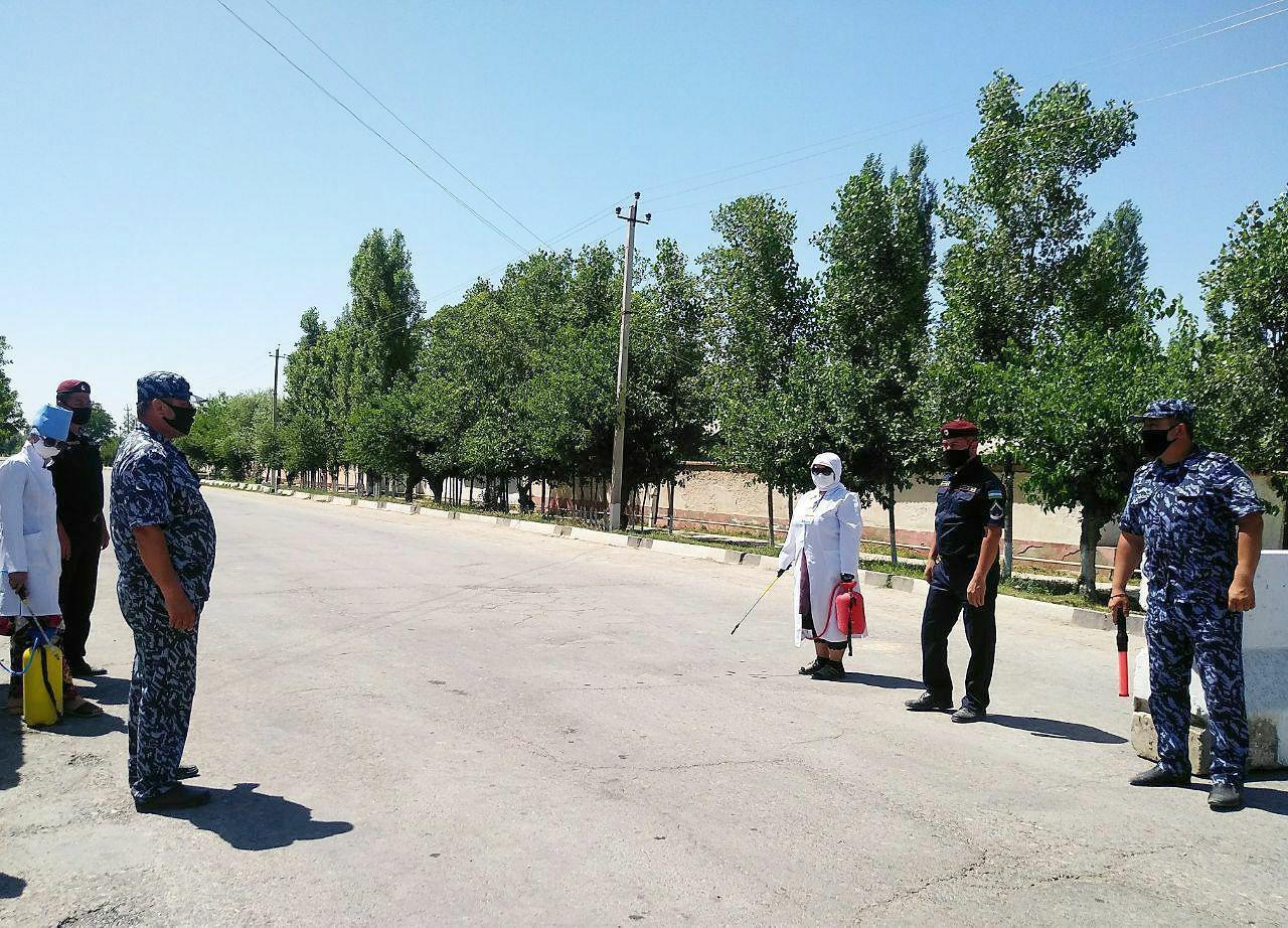 В Кашкадарье 17 медиков заразились коронавирусом