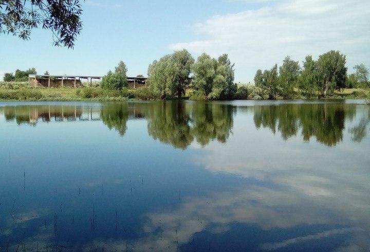 Эксперт: человек не может заразиться коронавирусом в открытых водоемах