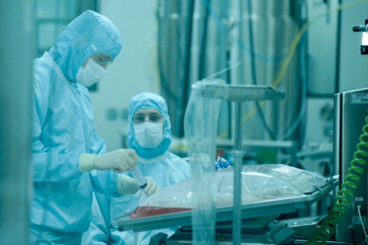 В Узбекистане за сутки выявлено новое рекордное число зараженных коронавирусом