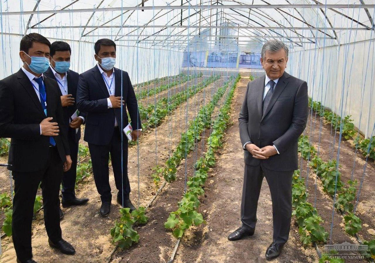 «Наши люди должны почувствовать результаты реформ», — Шавкат Мирзиёев