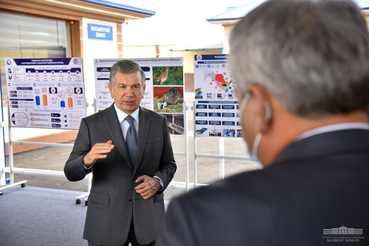 «Редкие породы рыб должны быть доступными для населения», — президент ознакомился с предприятием DB Group Eco