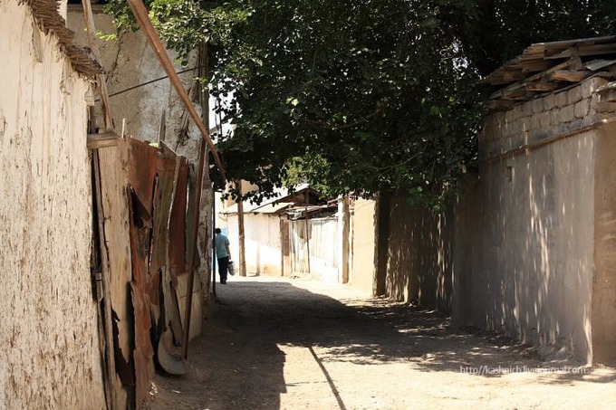 18-летняя девушка найдена повешенной в Кашдарьинской области