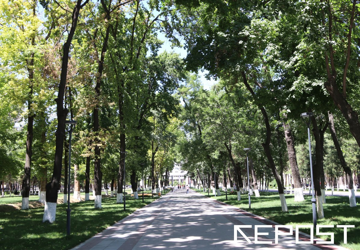 В Ташкенте за полгода выявили более 2,5 тысячи экологических нарушений