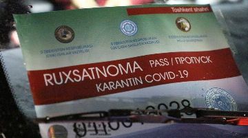 Стало известно, начнут ли выдавать новые стикеры на автотранспорт