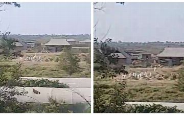 В Сырдарьинской области засняли на видео «подозрительные» похороны: в районном хокимияте прокомментировали произошедшее