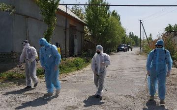 Озвучено число лечащихся дома пациентов с коронавирусом