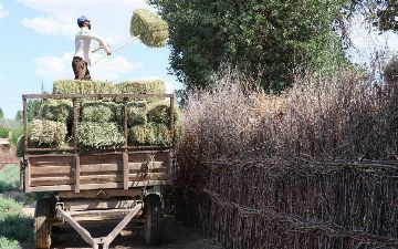 Какие меры принимаются по обеспечению занятости молодежи в Муйнаке?