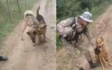 В СГБ прокомментировали конфликт парня и пограничника в Наманганской области 