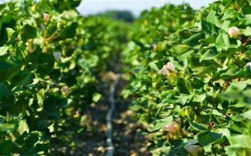 В АКБ «Агробанк» рассказали о проектах, реализуемых в поддержку предпринимательства 