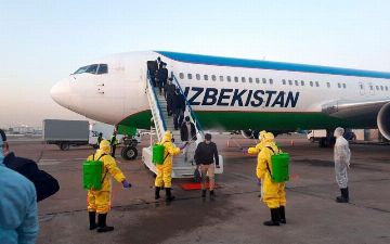 Uzbekistan Airways заявила о дополнительных рейсах Ташкент – Франкфурт – Ташкент
