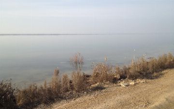 Два водохранилища из Навоийской области внесли под охрану Рамсарской конвенции