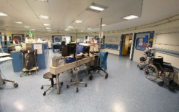 Нацпалата поддержит внедрение корейской модели медицинского кластера