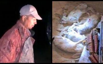 В Бухарской области браконьеры вышли в полночь поохотиться на кроликов и попались 