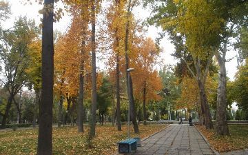 В Узгидромет рассказали о похолодании на выходных