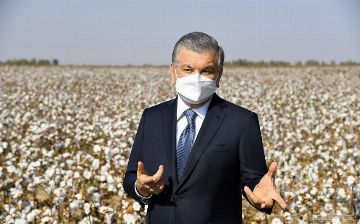 Президент осмотрел урожай хлопка в Сырдарьинской области после прорыва водохранилища