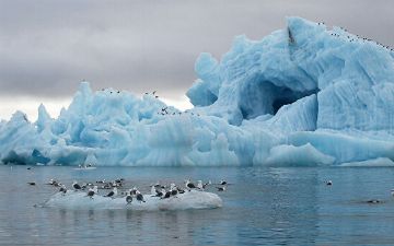Толщина льда в Арктике сократилась вдвое за 40 лет