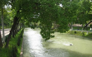 В Ташкенте женщина решила свести счеты с жизнью и спрыгнула в Анхор