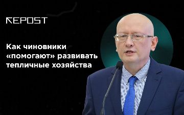 Как чиновники «помогают» развивать тепличные хозяйства