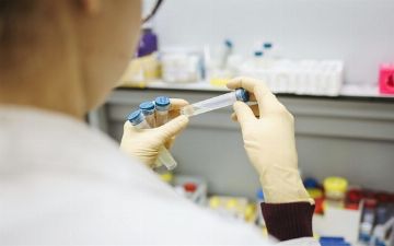 В Узбекистане результаты ПЦР-теста на коронавирус можно узнать через Telegram-бот