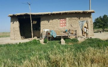 В полевом сарае Наманганской области нашли труп восьмилетнего мальчика 