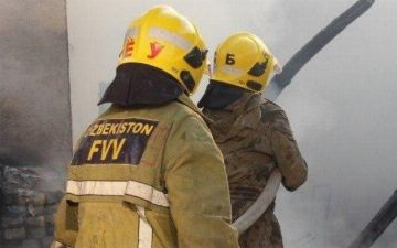 В Сырдарье отец и сын сгорели заживо в собственной квартире 