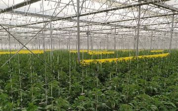 «Агробанк» помог создать современную теплицу в Зангиатинском районе