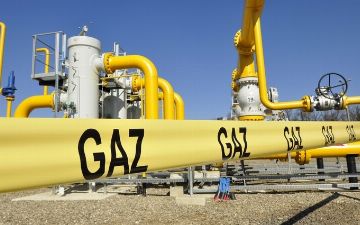 Сенат создал рабочую группу для контроля за обеспечением Ферганской долины газом и электричеством 