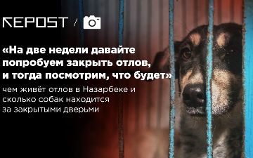 «Спрос рождает предложение» - что происходит с животными в Назарбеке