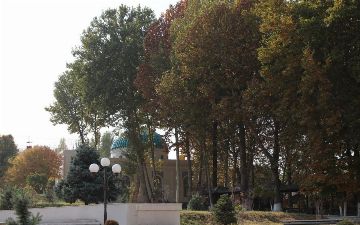 Узбекистанцам на выходных предрекли морозы до минус 20 градусов 