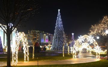 Названа позиция ташкентской ёлки среди стран СНГ