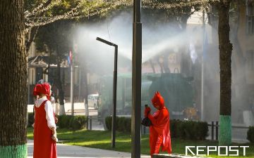 Синоптики заявили, что 2020 год был одним из самых жарких в истории мониторинга