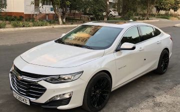 Узбекистан заработал на тонировке авто в 2020 году сотни миллиардов сумов 