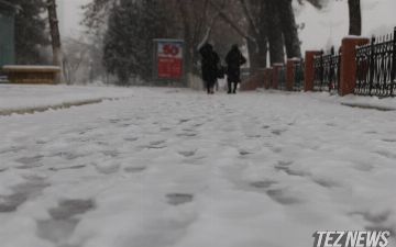 В Узбекистане резко похолодает: в некоторых регионах температура снизится до -15 градусов