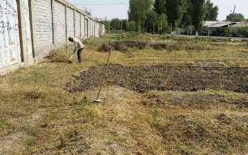 Хокимият захотел повысить стоимость ташкентской земли 
