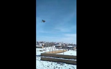 Узбекский тиктокер на камеру швырнул кошку с высоты, а после забросил в нее снежок 