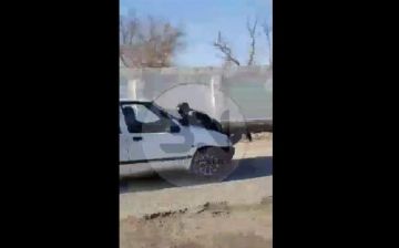 Водитель Tiko прокатил инспектора ДПС, который пытался остановить авто